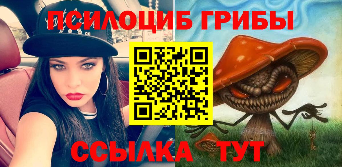 Галлюциногенные грибы Psilocybine cubensis  Вход с VPN  Лысьва 